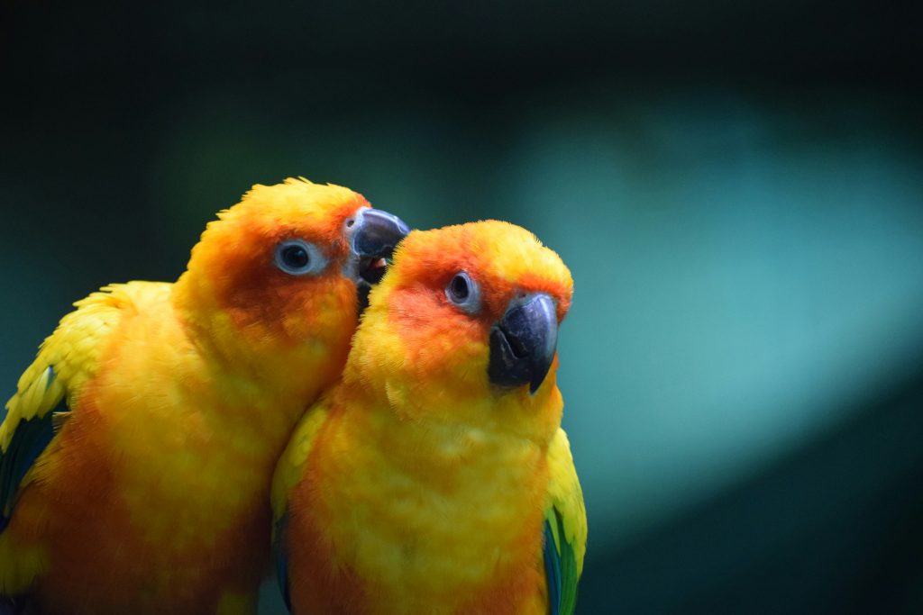 archana-rajendran-ziu1brm7-yo-unsplash Tantra Couples image d'ambiance Tarification et Offres 2026/2027
